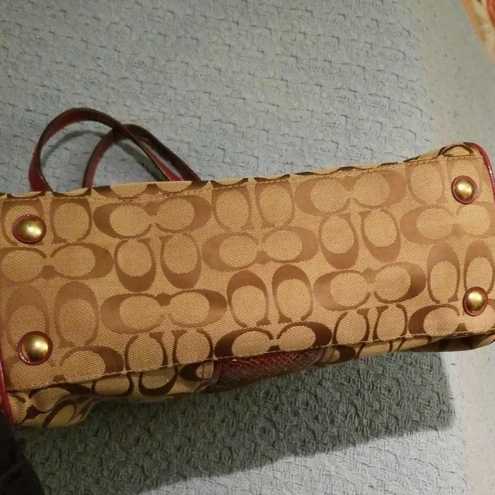 Coach Purse Signature Fabric With Python Stripe - image 4